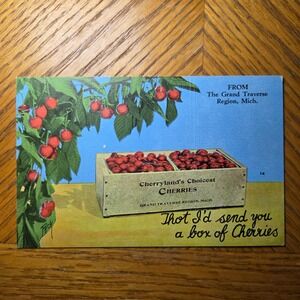 Vintage Grand Traverse Region Michigan Cherryland Postcard Orson W Peck
